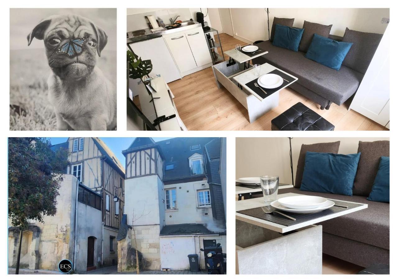 "Colbert Studio" Coeur De Ville - Cathedrale Saint Gatien Tours Esterno foto